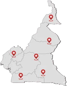 Carte Cameroun
